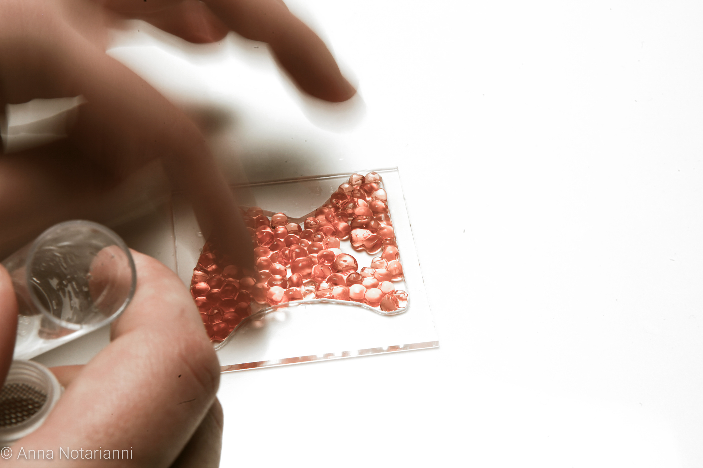 830b6867300127.5b34ac0e48ead